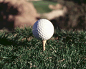 golf_mynd